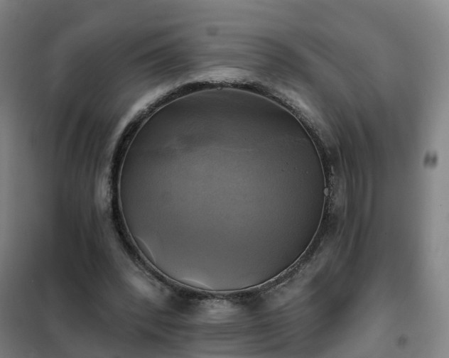 X0000102020392200807251336