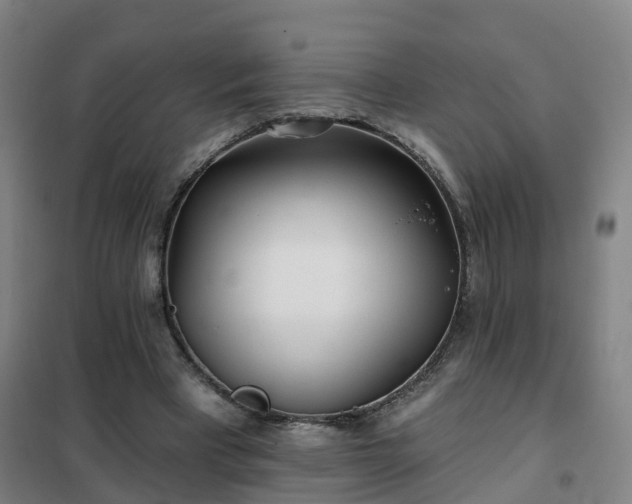 X0000102020393200807251336