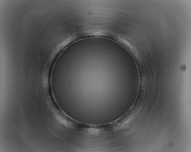 X0000102020394200807251336