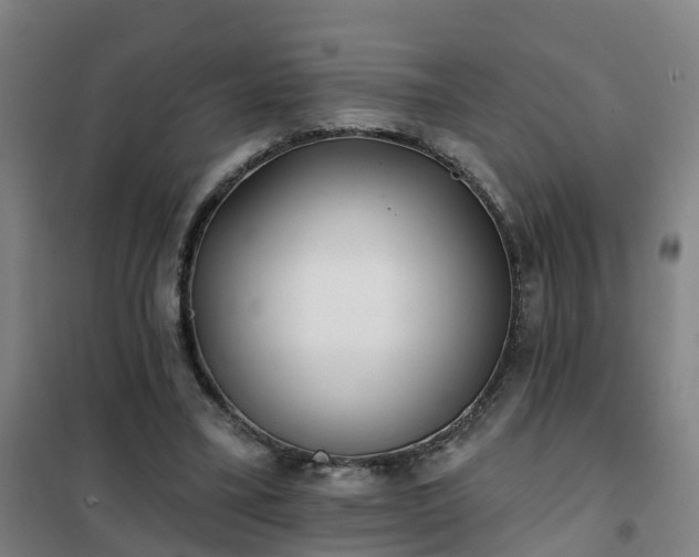 X0000102020395200807251336