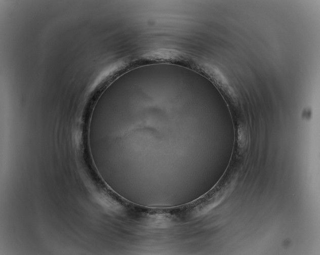 X0000102020396200807251336