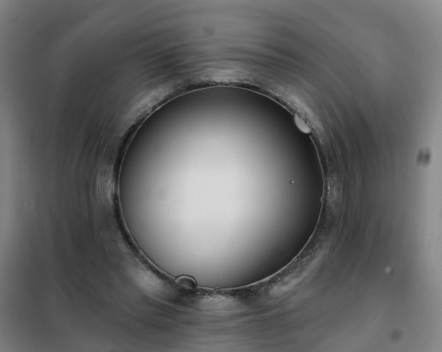 X0000102020397200807251336