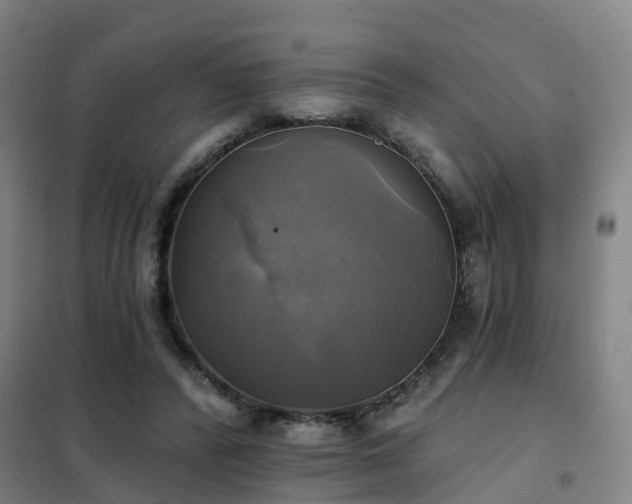 X0000102020400200807251336