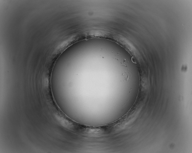 X0000102020401200807251336