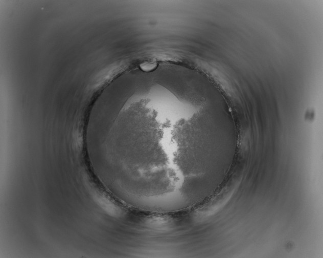 X0000102020402200807251336