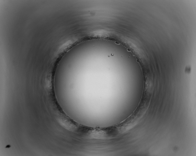 X0000102020403200807251336