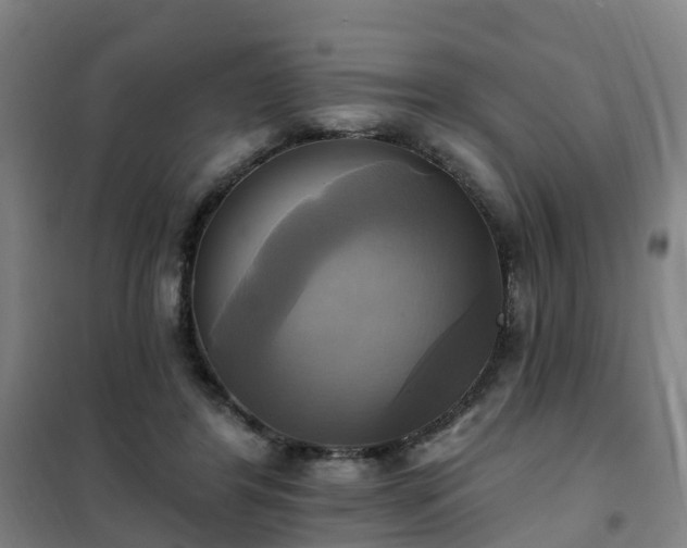 X0000102020404200807251336
