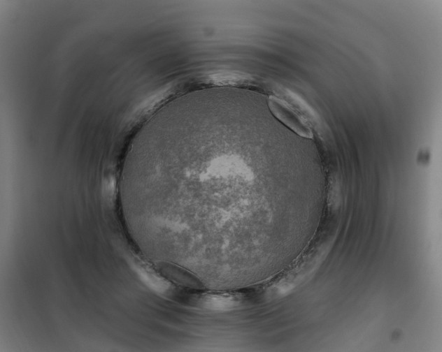 X0000102020405200807251336