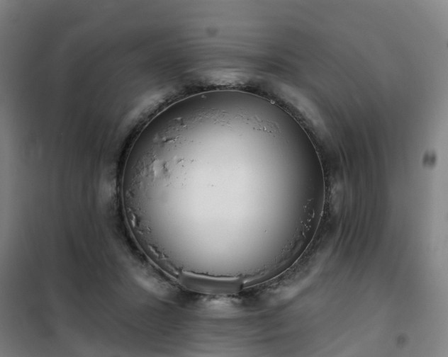 X0000102020407200807251336
