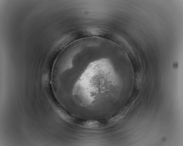 X0000102020410200807251336