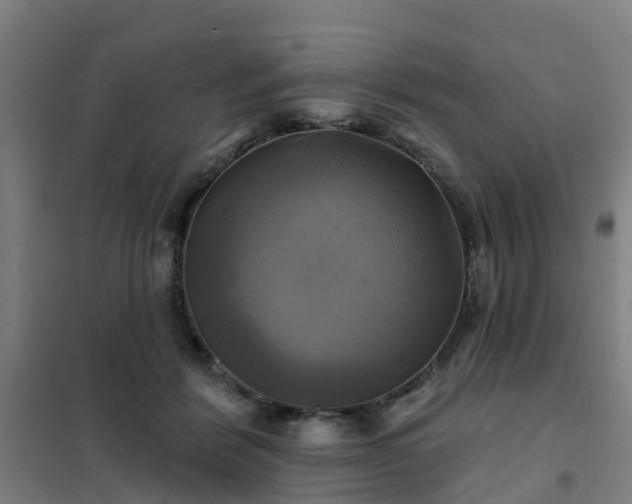 X0000102020412200807251336