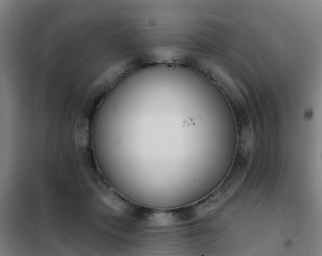 X0000102020413200807251336