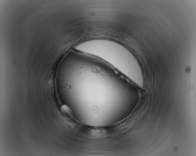 X0000102020415200807251336