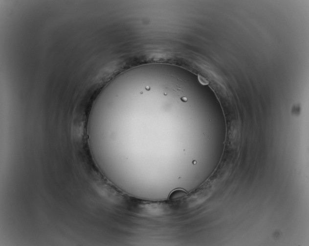 X0000102020417200807251336