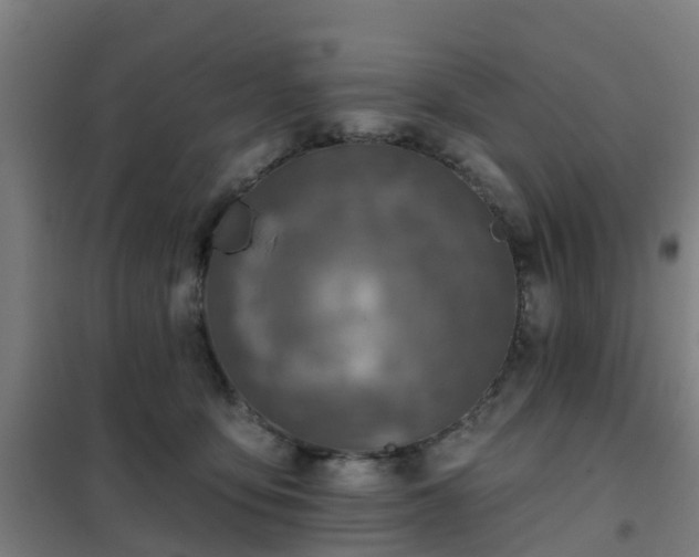 X0000102020419200807251336