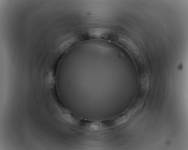 X0000102020420200807251336