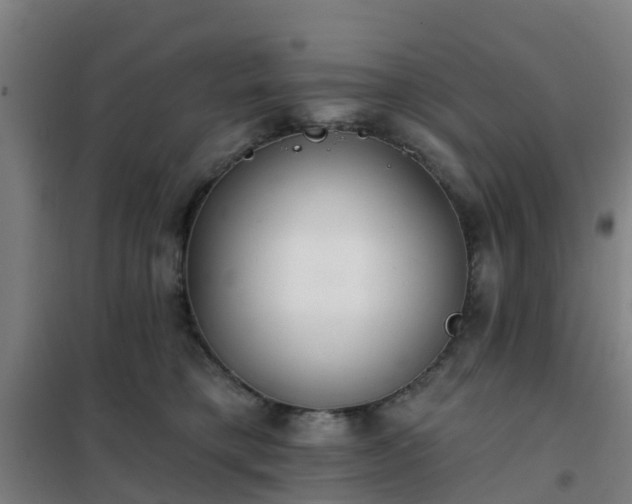 X0000102020421200807251336