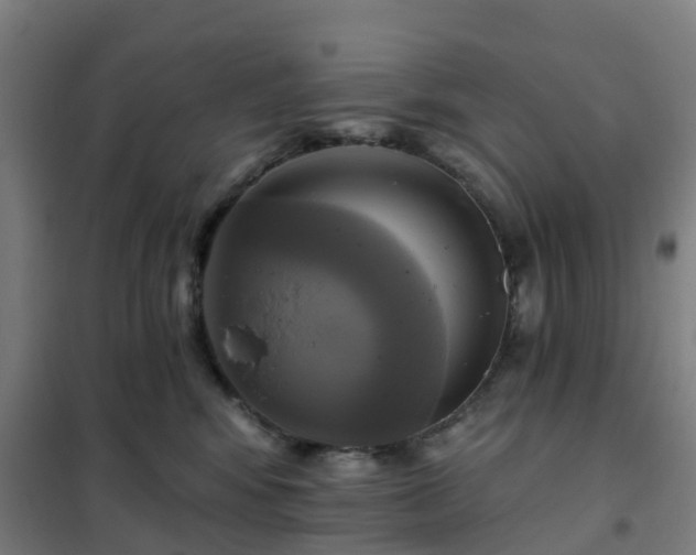 X0000102020424200807251336