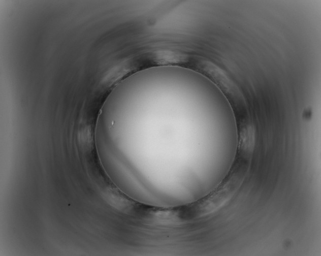 X0000102020426200807251336