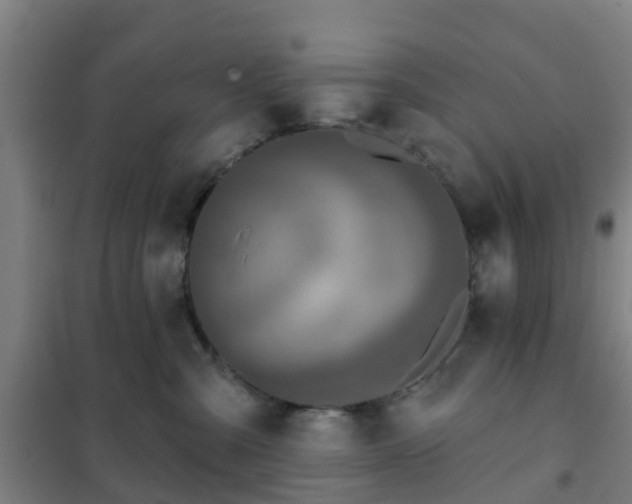 X0000102020427200807251336