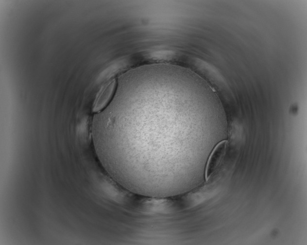 X0000102020428200807251336