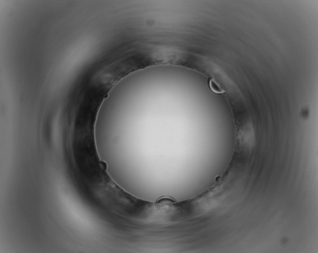 X0000102020429200807251336