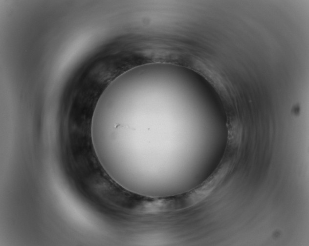 X0000102020430200807251336