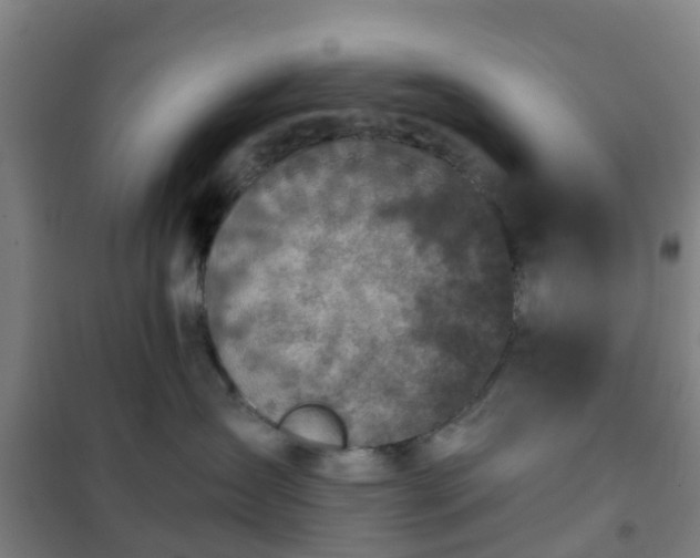 X0000102020431200807251336