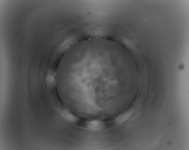 X0000102020432200807251336