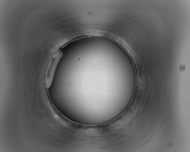 X0000102020433200807251335