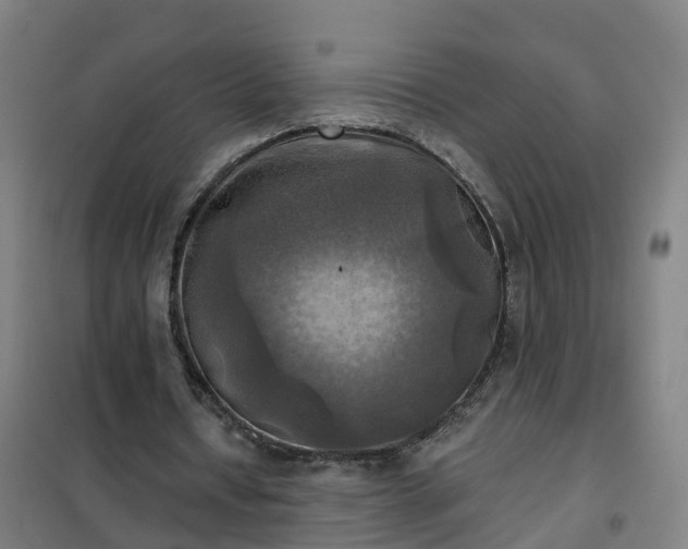 X0000102020434200807251335