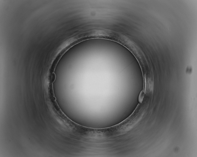 X0000102020435200807251335