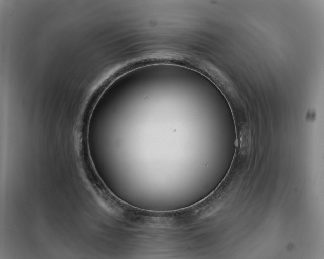 X0000102020436200807251335