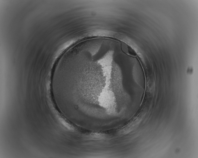 X0000102020437200807251335