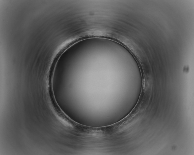X0000102020438200807251335