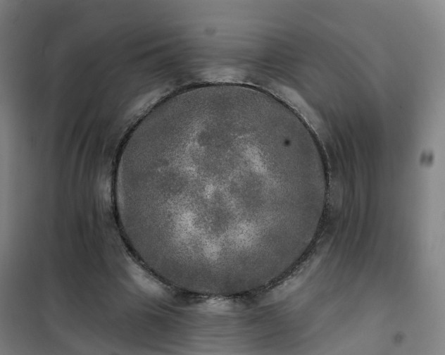 X0000102020441200807251335