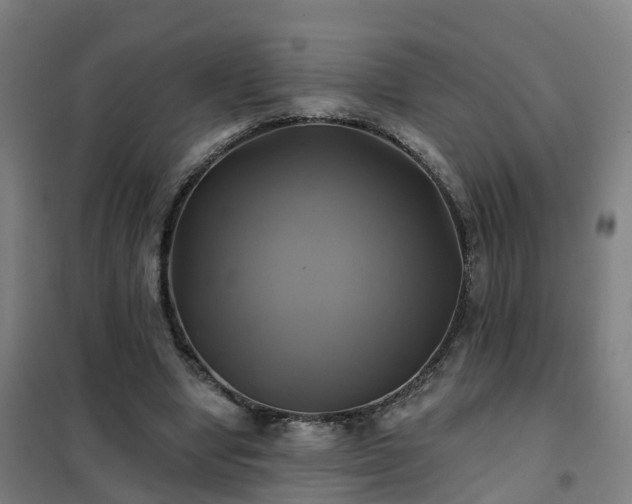X0000102020442200807251335
