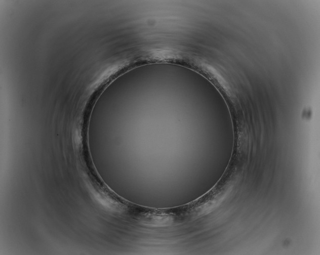 X0000102020443200807251335
