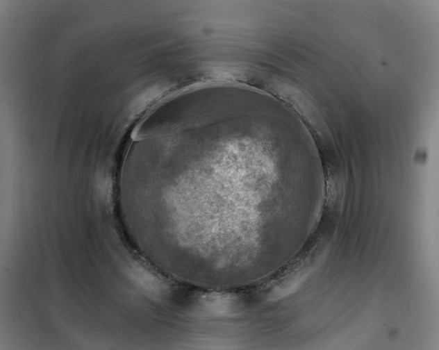 X0000102020444200807251335