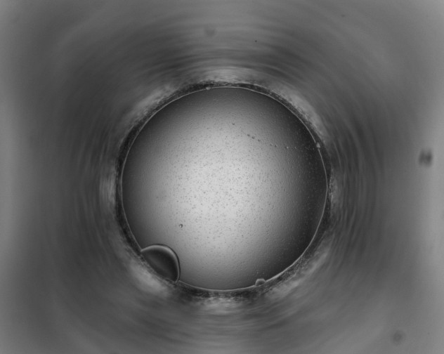 X0000102020445200807251335