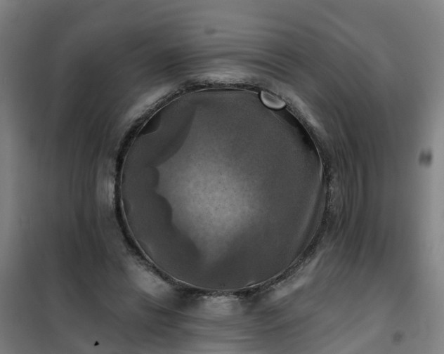 X0000102020446200807251335