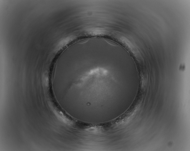 X0000102020447200807251335