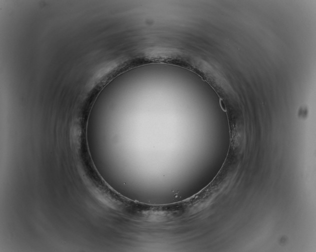 X0000102020448200807251335