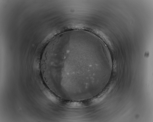 X0000102020449200807251335