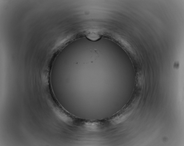 X0000102020450200807251335