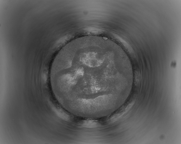 X0000102020451200807251335