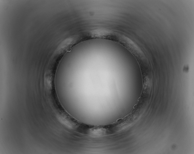 X0000102020452200807251335