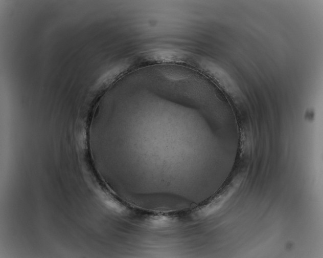 X0000102020453200807251335