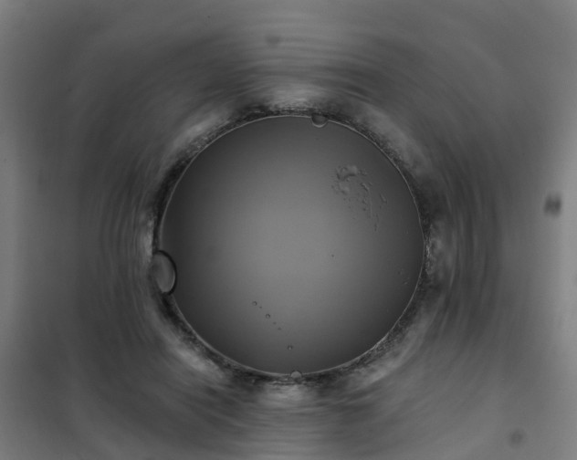 X0000102020454200807251335