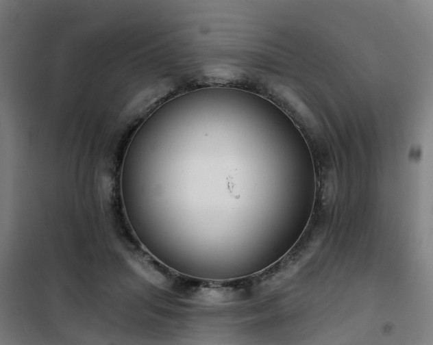 X0000102020455200807251335